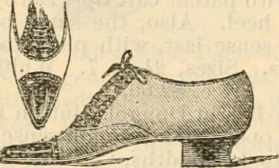 An illustration from Fall and winter 1895-6 price list for daily reference., 1895, leaf 186