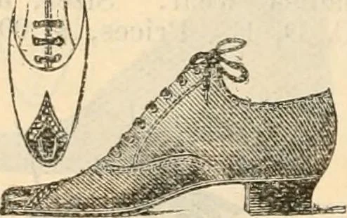 An illustration from Fall and winter 1895-6 price list for daily reference., 1895, leaf 186