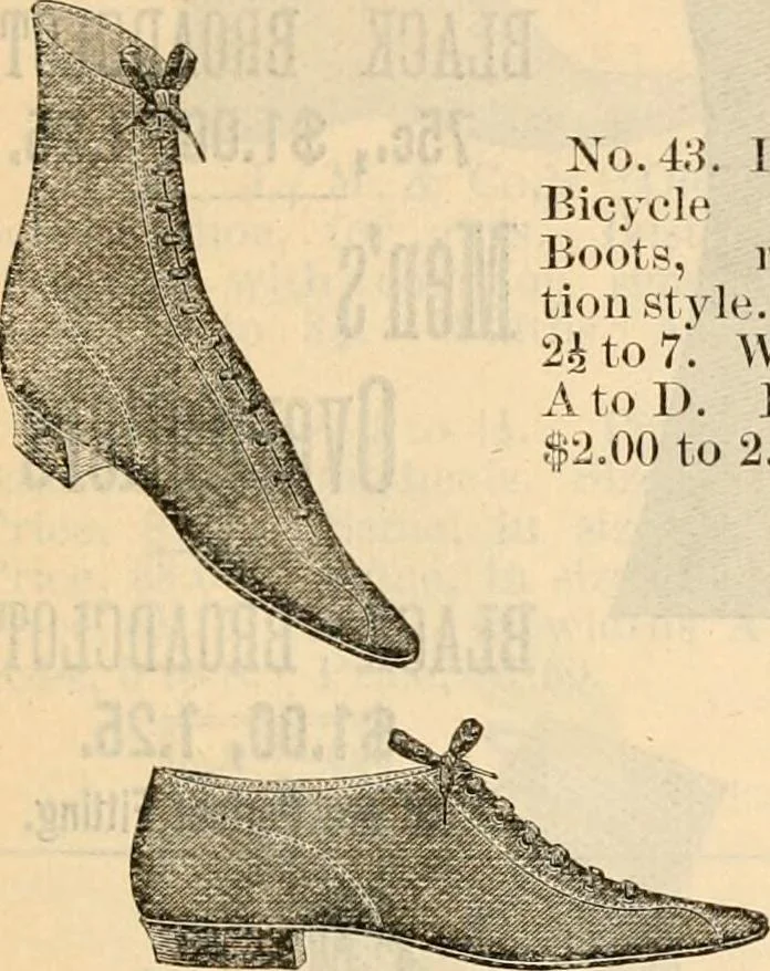 An illustration from Fall and winter 1895-6 price list for daily reference., 1895, leaf 187