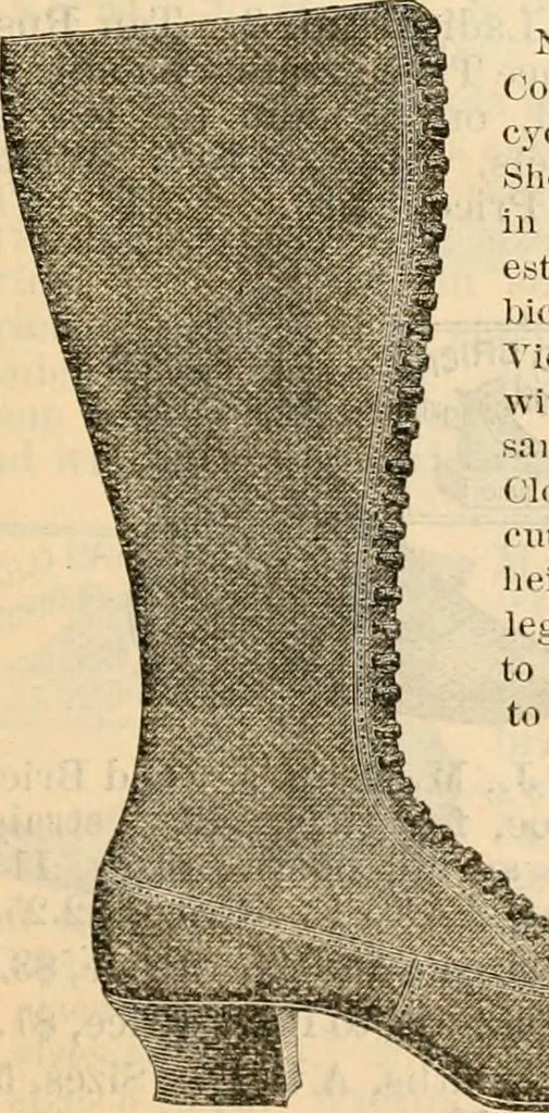 An illustration from Fall and winter 1895-6 price list for daily reference., 1895, leaf 187