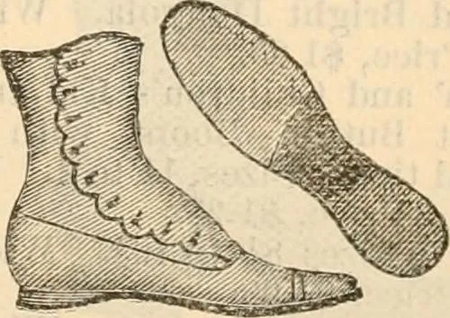 An illustration from Fall and winter 1895-6 price list for daily reference., 1895, leaf 189
