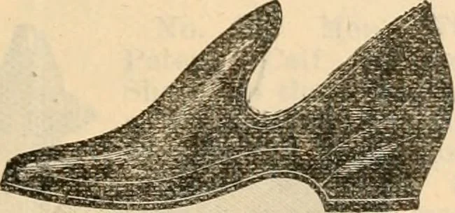 An illustration from Fall and winter 1895-6 price list for daily reference., 1895, leaf 191
