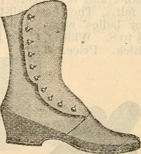 An illustration from Fall and winter 1895-6 price list for daily reference., 1895, leaf 191
