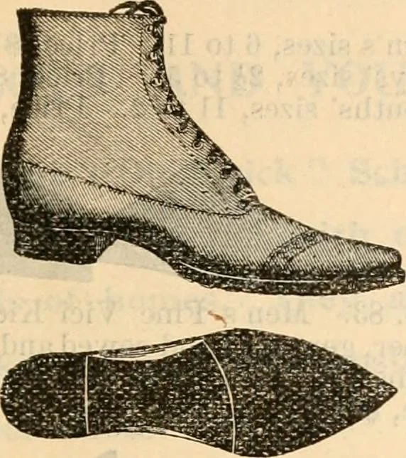 An illustration from Fall and winter 1895-6 price list for daily reference., 1895, leaf 193