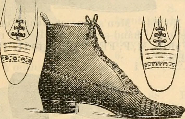 An illustration from Fall and winter 1895-6 price list for daily reference., 1895, leaf 193
