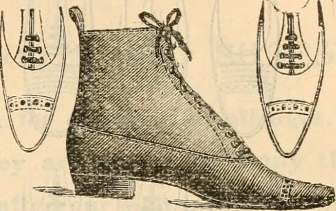 An illustration from Fall and winter 1895-6 price list for daily reference., 1895, leaf 193