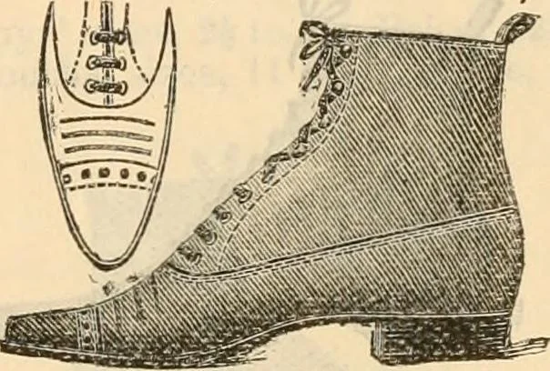 An illustration from Fall and winter 1895-6 price list for daily reference., 1895, leaf 193