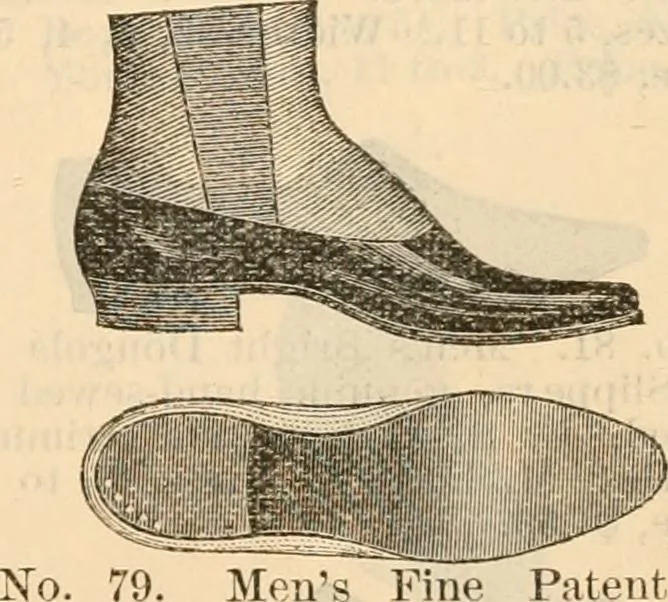 An illustration from Fall and winter 1895-6 price list for daily reference., 1895, leaf 193