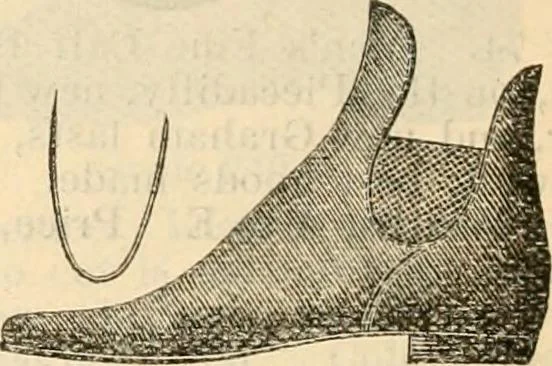 An illustration from Fall and winter 1895-6 price list for daily reference., 1895, leaf 194