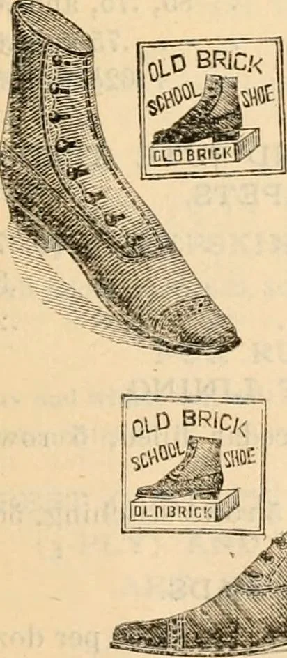 An illustration from Fall and winter 1895-6 price list for daily reference., 1895, leaf 195