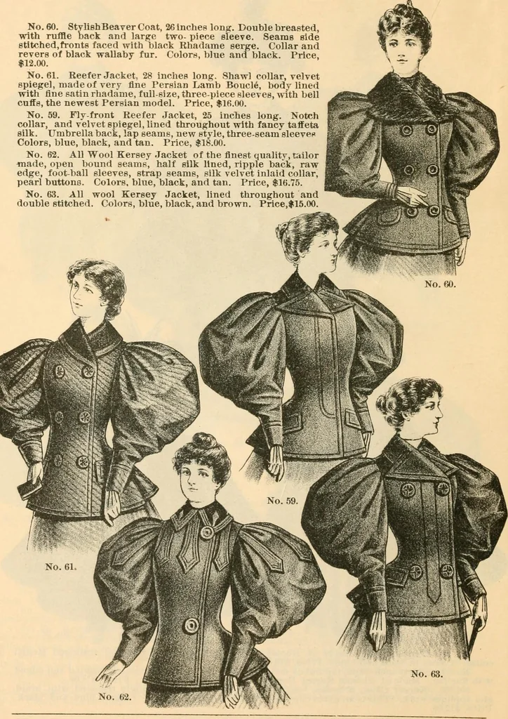 An illustration from Fall and winter 1895-6 price list for daily reference., 1895, leaf 20