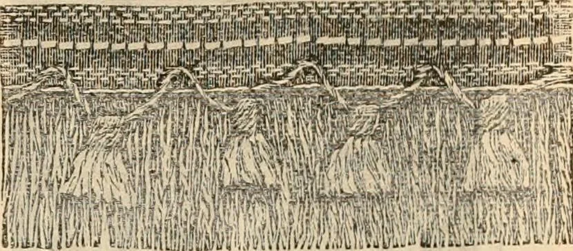 An illustration from Fall and winter 1895-6 price list for daily reference., 1895, leaf 201