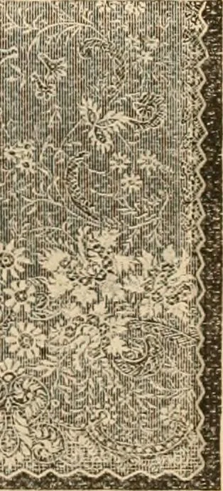 An illustration from Fall and winter 1895-6 price list for daily reference., 1895, leaf 205