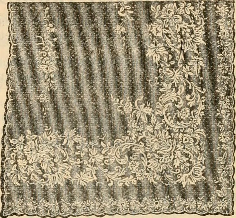 An illustration from Fall and winter 1895-6 price list for daily reference., 1895, leaf 207