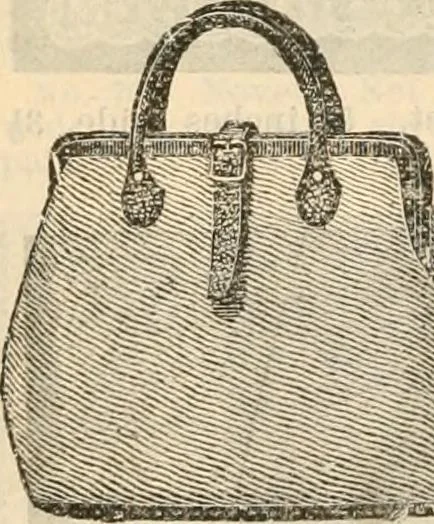 An illustration from Fall and winter 1895-6 price list for daily reference., 1895, leaf 208