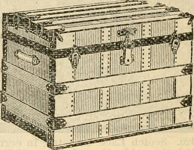 An illustration from Fall and winter 1895-6 price list for daily reference., 1895, leaf 208