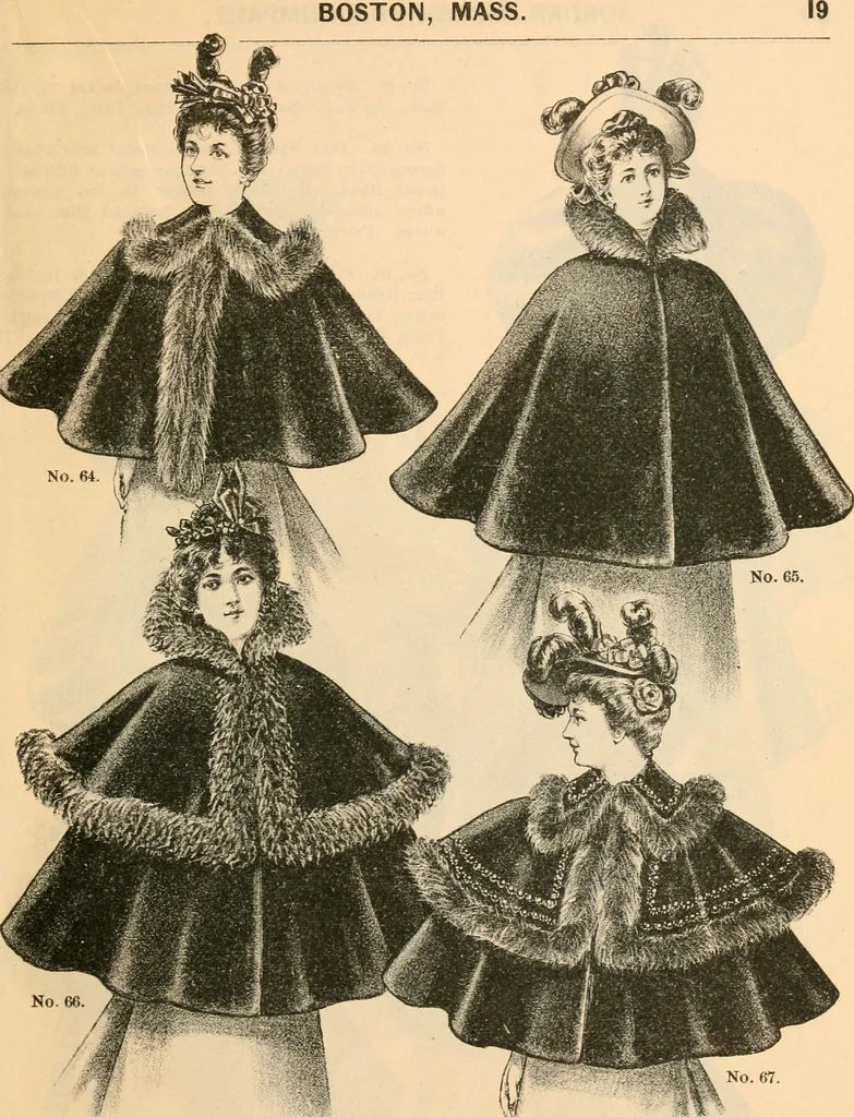 An illustration from Fall and winter 1895-6 price list for daily reference., 1895, leaf 21