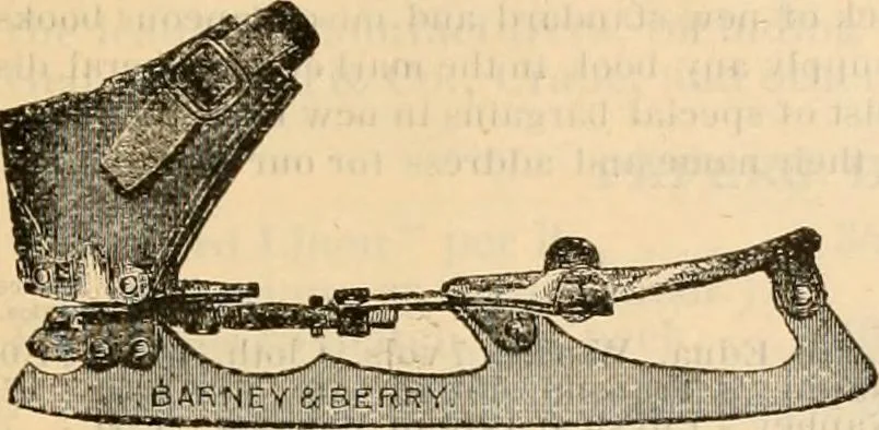 An illustration from Fall and winter 1895-6 price list for daily reference., 1895, leaf 211