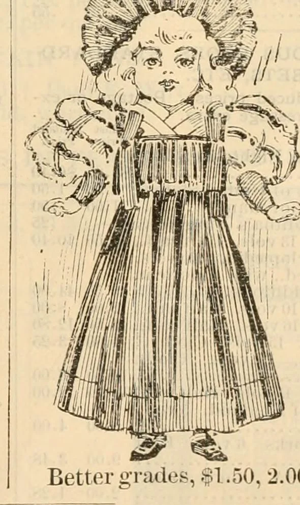 An illustration from Fall and winter 1895-6 price list for daily reference., 1895, leaf 211