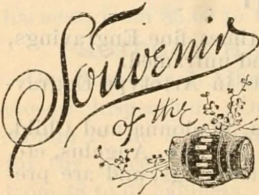 An illustration from Fall and winter 1895-6 price list for daily reference., 1895, leaf 212