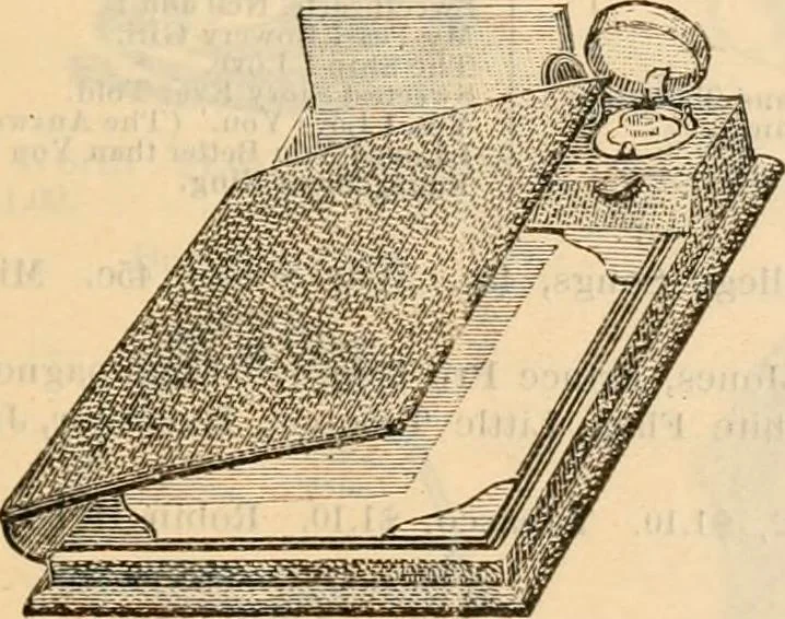 An illustration from Fall and winter 1895-6 price list for daily reference., 1895, leaf 213