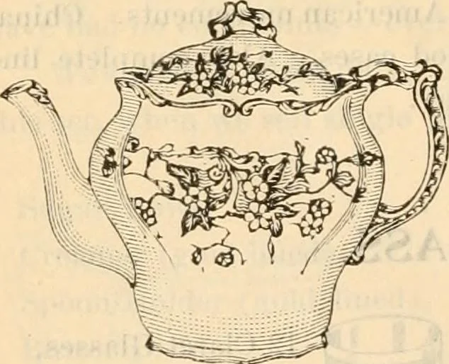 An illustration from Fall and winter 1895-6 price list for daily reference., 1895, leaf 218