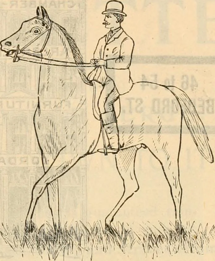 An illustration from Fall and winter 1895-6 price list for daily reference., 1895, leaf 223