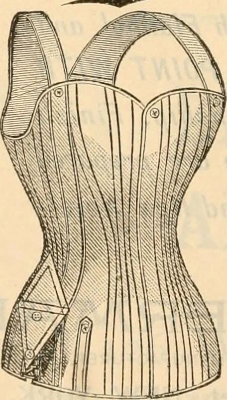 An illustration from Fall and winter 1895-6 price list for daily reference., 1895, leaf 238