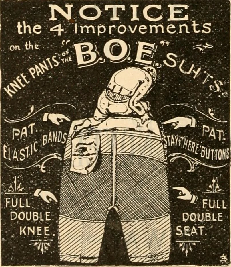 An illustration from Fall and winter 1895-6 price list for daily reference., 1895, leaf 244