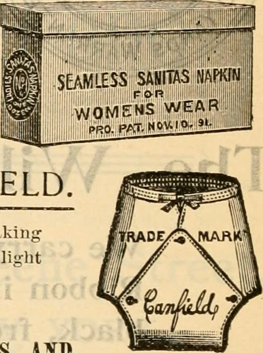 An illustration from Fall and winter 1895-6 price list for daily reference., 1895, leaf 252