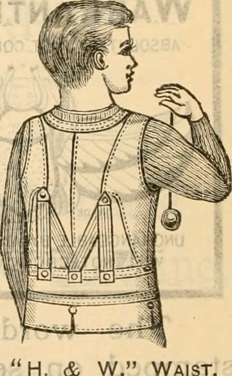 An illustration from Fall and winter 1895-6 price list for daily reference., 1895, leaf 256