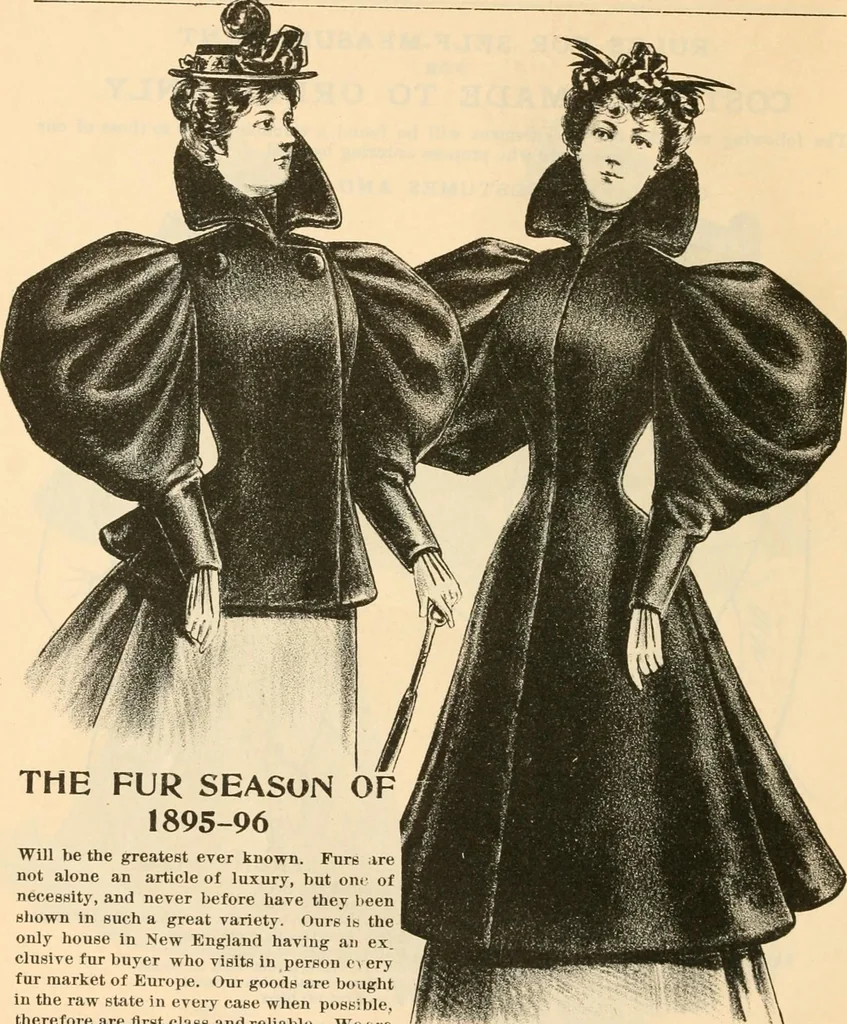 An illustration from Fall and winter 1895-6 price list for daily reference., 1895, leaf 26