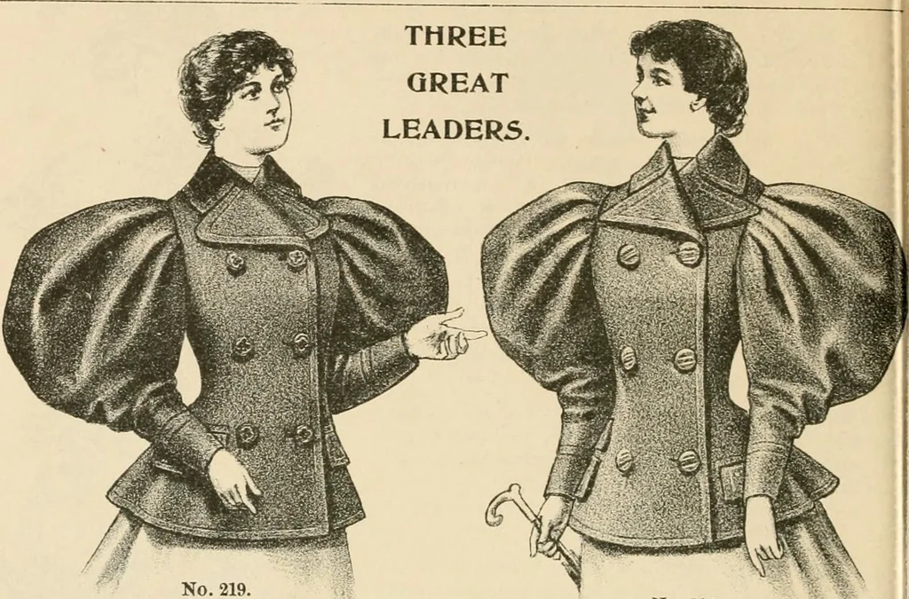 An illustration from Fall and winter 1895-6 price list for daily reference., 1895, leaf 34