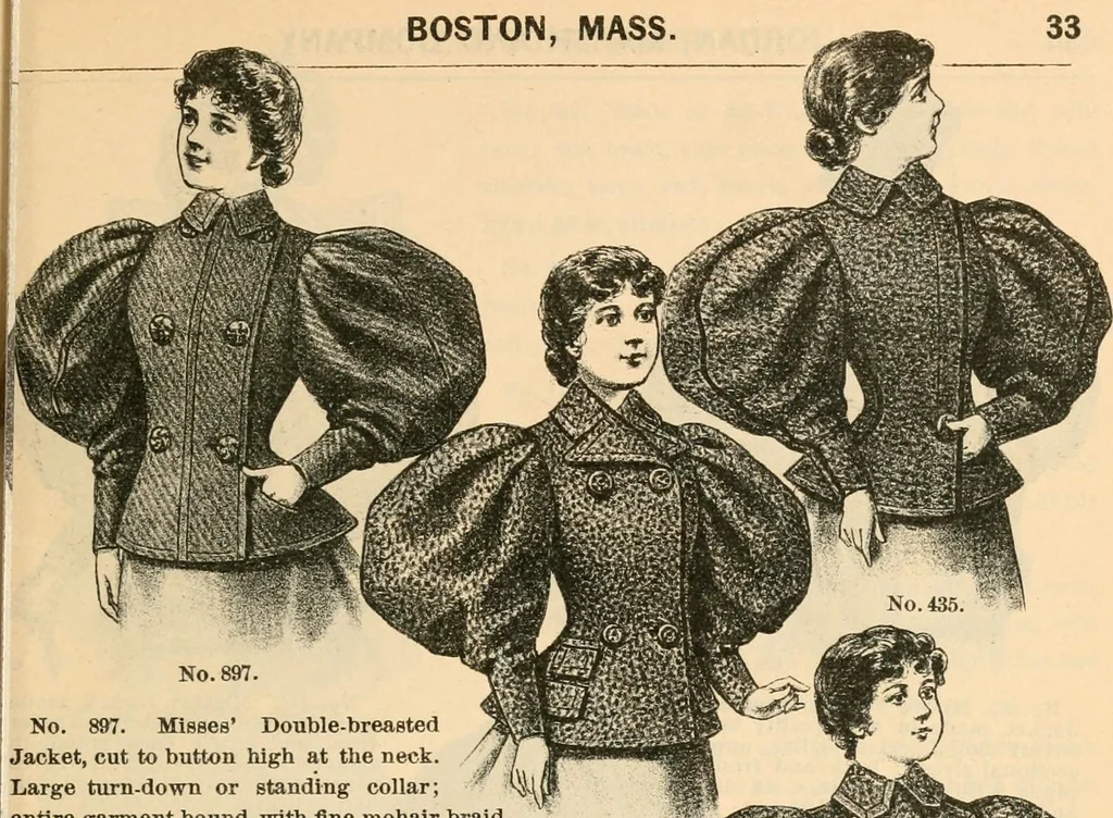 An illustration from Fall and winter 1895-6 price list for daily reference., 1895, leaf 35