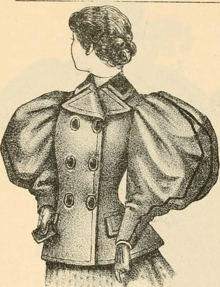 An illustration from Fall and winter 1895-6 price list for daily reference., 1895, leaf 36