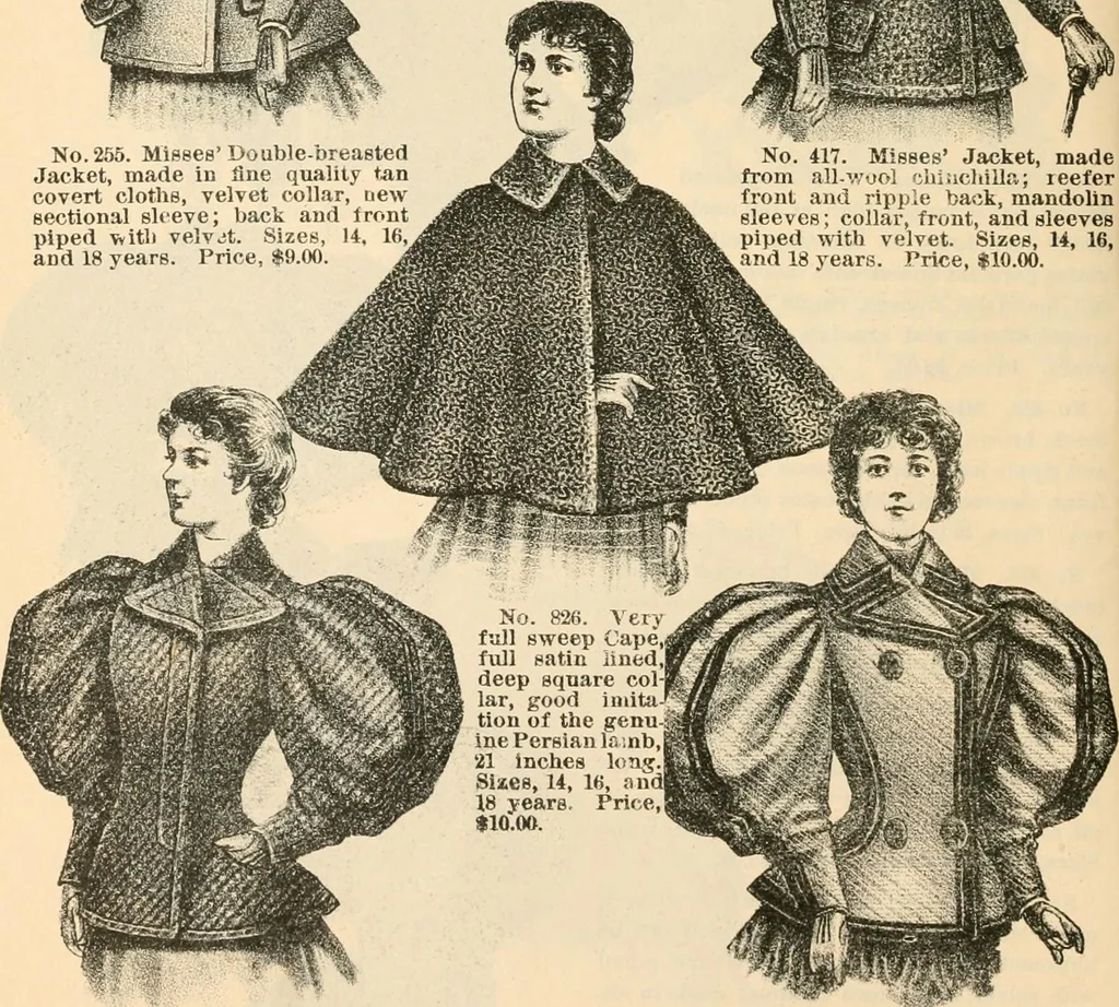 An illustration from Fall and winter 1895-6 price list for daily reference., 1895, leaf 36