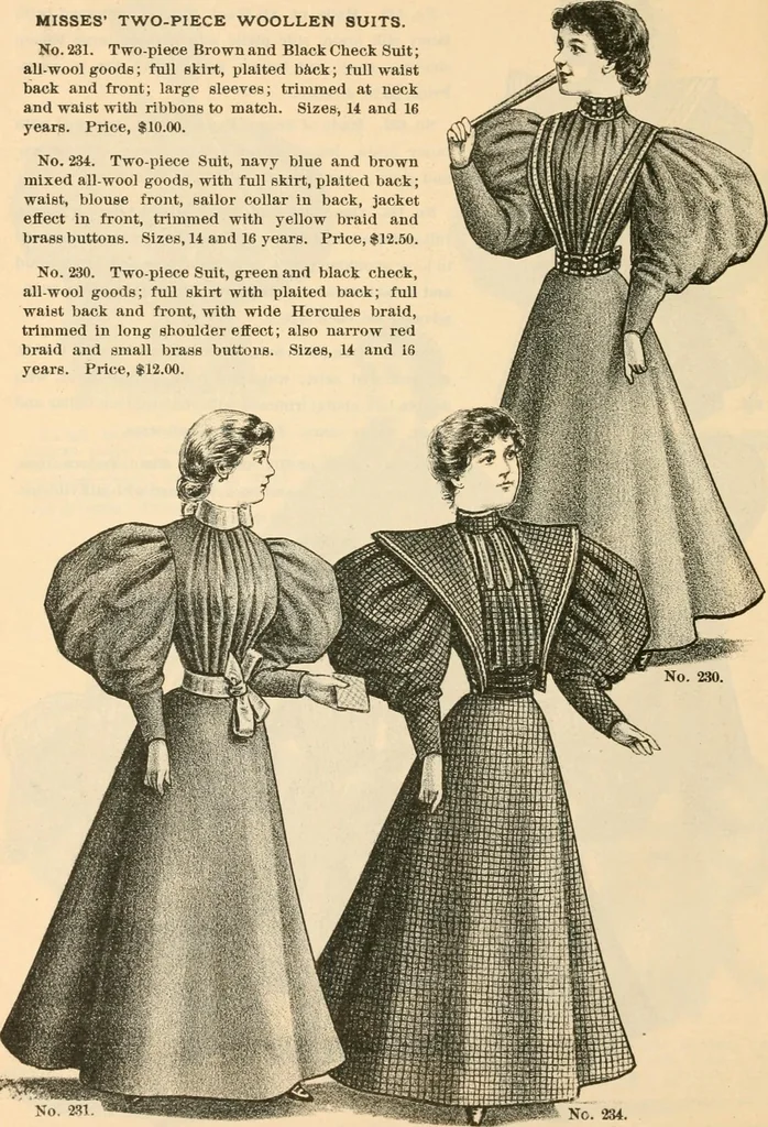 An illustration from Fall and winter 1895-6 price list for daily reference., 1895, leaf 38
