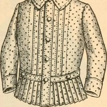 An illustration from Fall and winter 1895-6 price list for daily reference., 1895, leaf 39