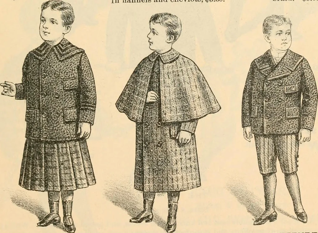 An illustration from Fall and winter 1895-6 price list for daily reference., 1895, leaf 41
