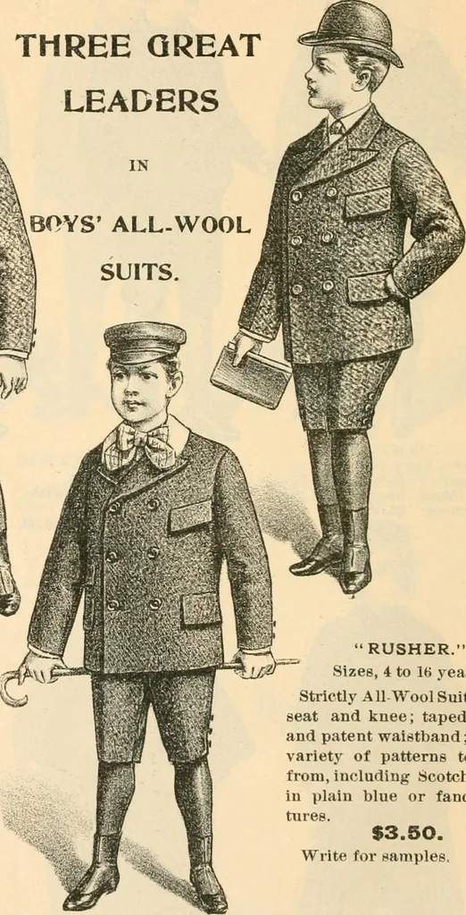 An illustration from Fall and winter 1895-6 price list for daily reference., 1895, leaf 42