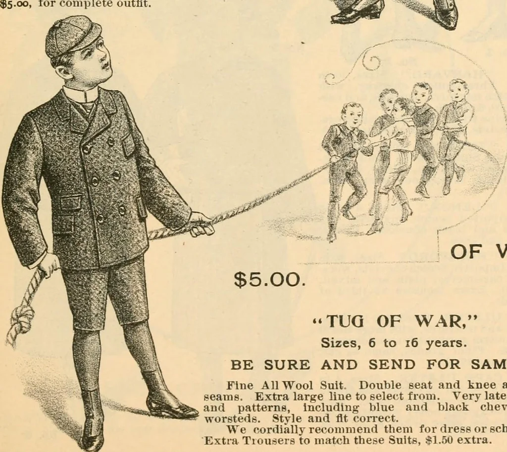 An illustration from Fall and winter 1895-6 price list for daily reference., 1895, leaf 43