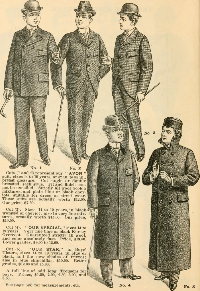 An illustration from Fall and winter 1895-6 price list for daily reference., 1895, leaf 46