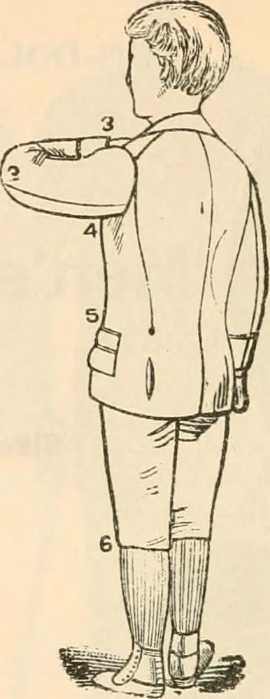 An illustration from Fall and winter 1895-6 price list for daily reference., 1895, leaf 48