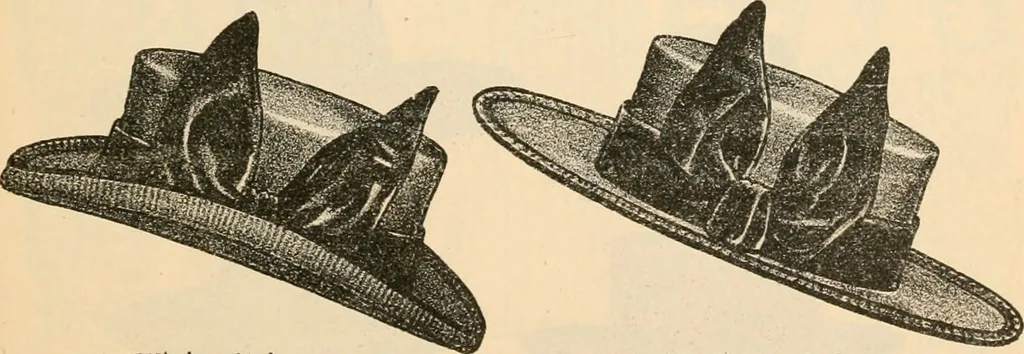 An illustration from Fall and winter 1895-6 price list for daily reference., 1895, leaf 49