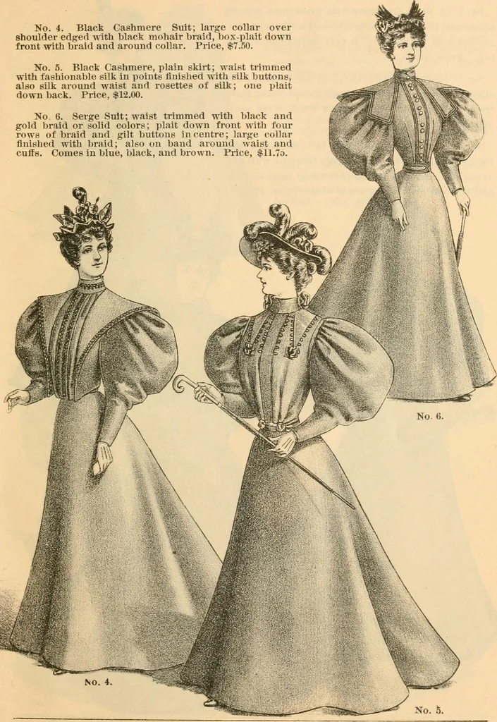An illustration from Fall and winter 1895-6 price list for daily reference., 1895, leaf 5