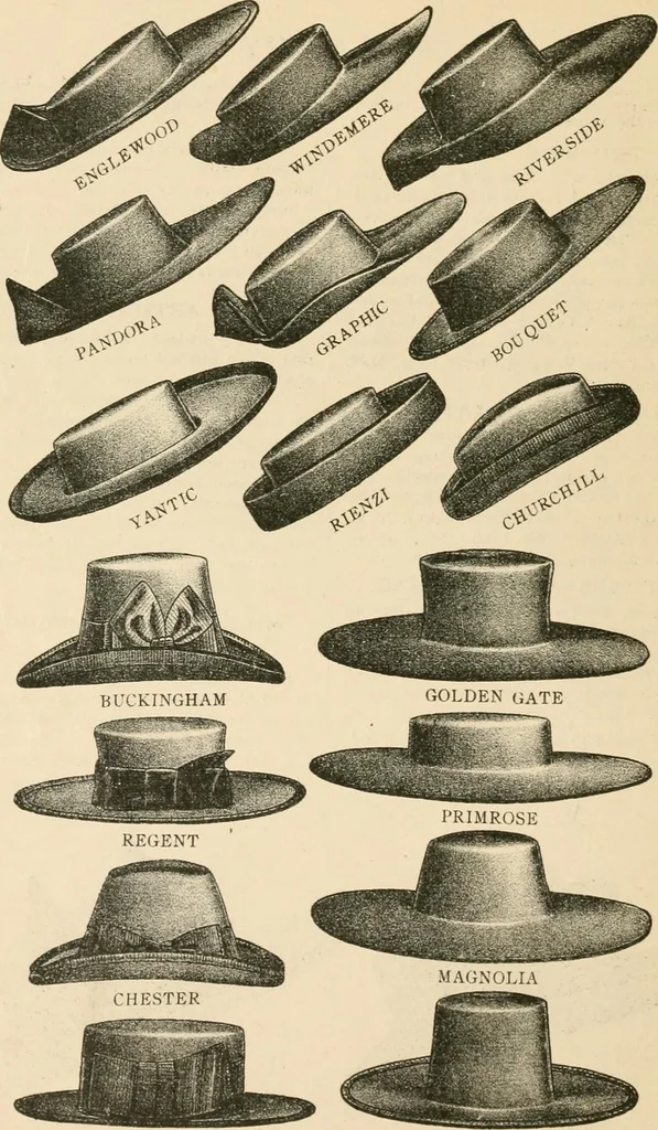 An illustration from Fall and winter 1895-6 price list for daily reference., 1895, leaf 50