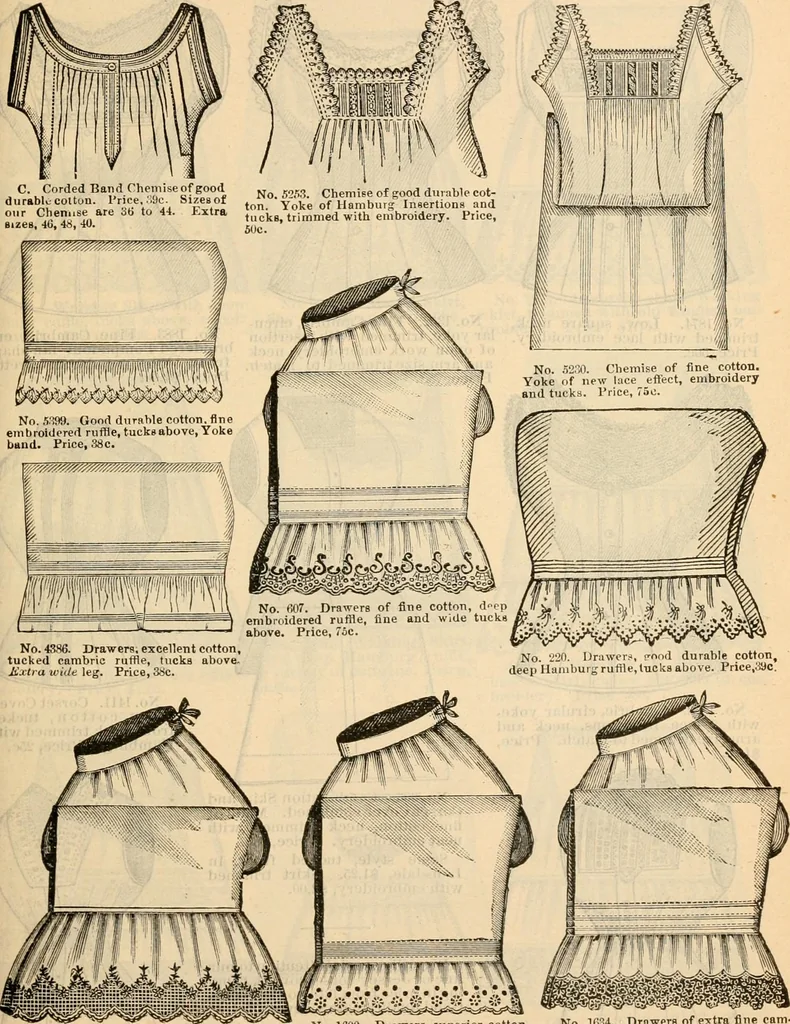 An illustration from Fall and winter 1895-6 price list for daily reference., 1895, leaf 53