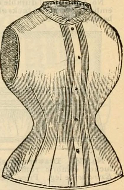 An illustration from Fall and winter 1895-6 price list for daily reference., 1895, leaf 54