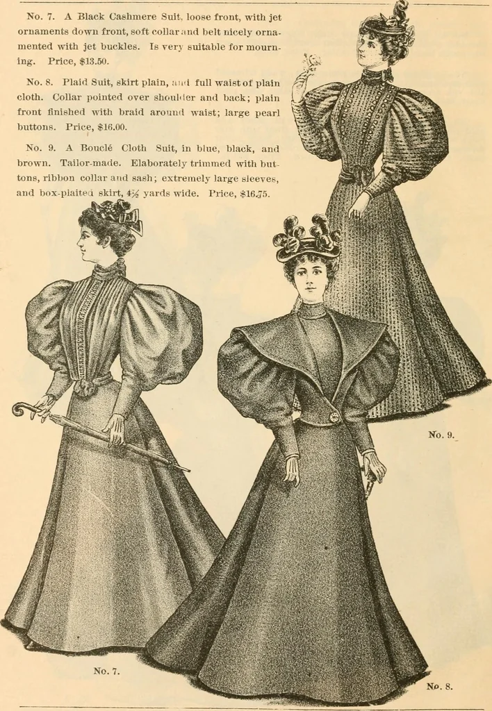 An illustration from Fall and winter 1895-6 price list for daily reference., 1895, leaf 6