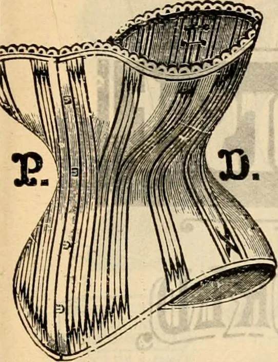 An illustration from Fall and winter 1895-6 price list for daily reference., 1895, leaf 69